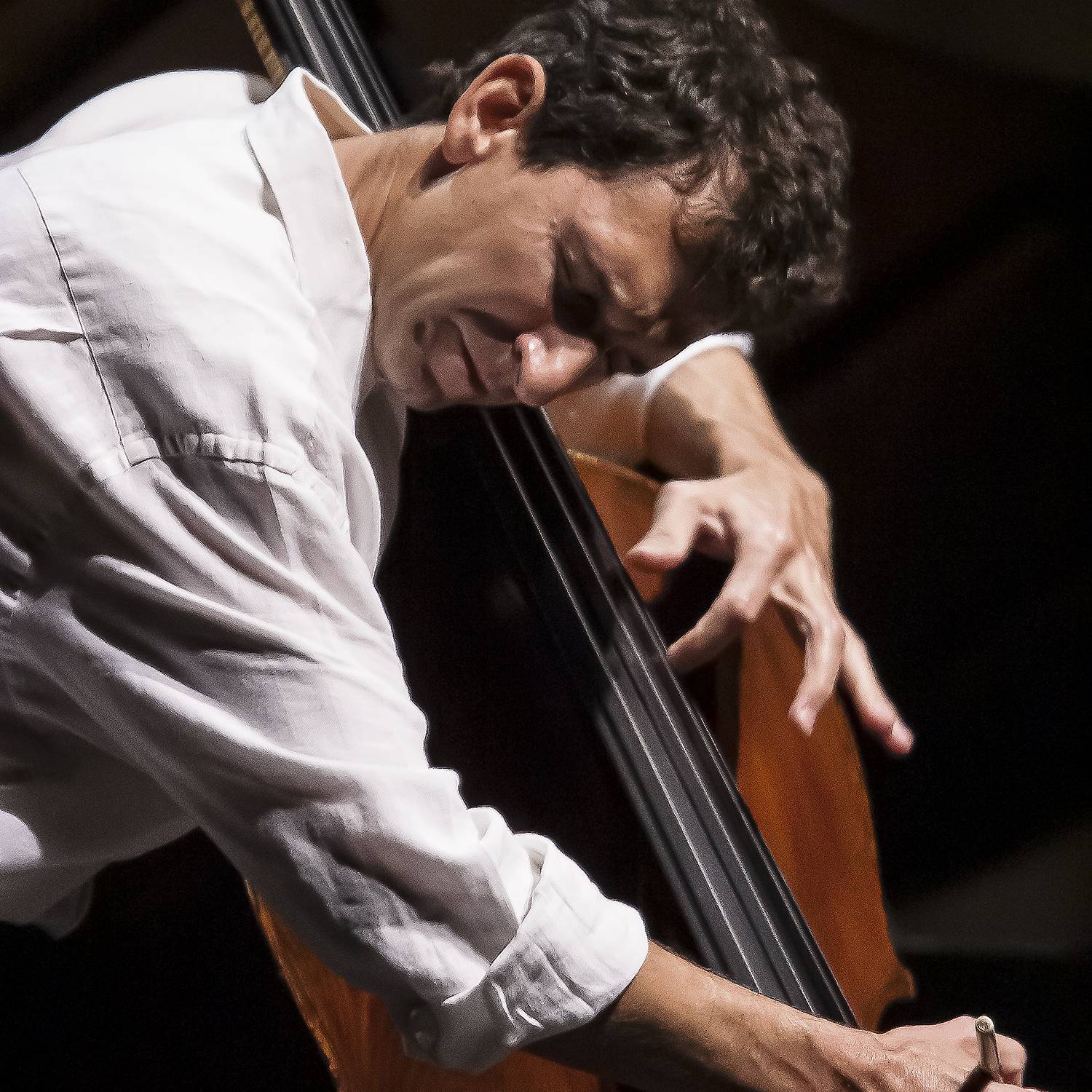 Nico Abondolo photo