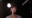 Ellen Dorsher photo