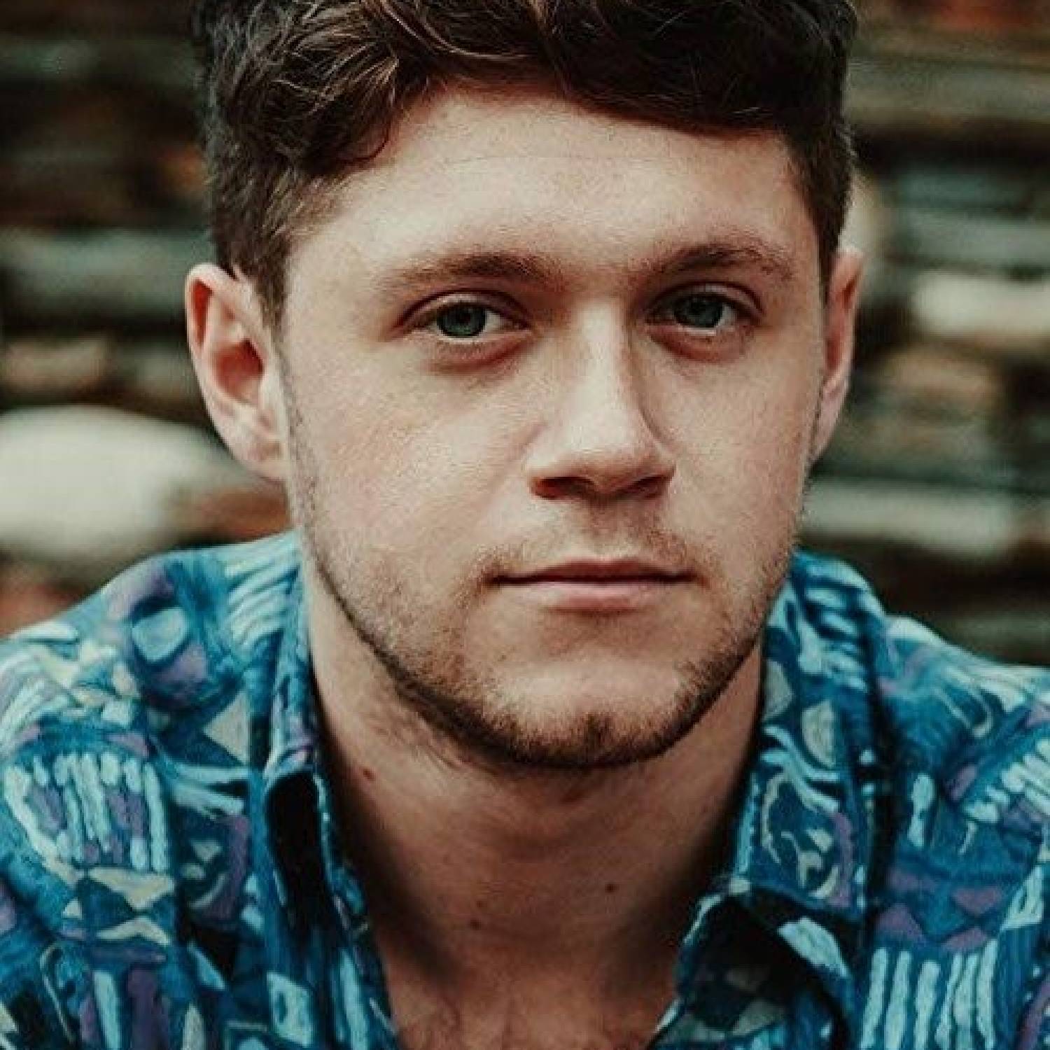 Niall Horan photo