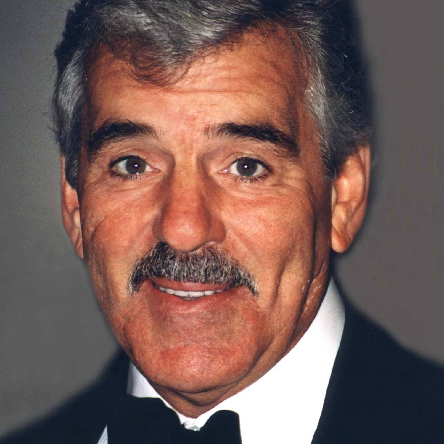 Dennis Farina photo