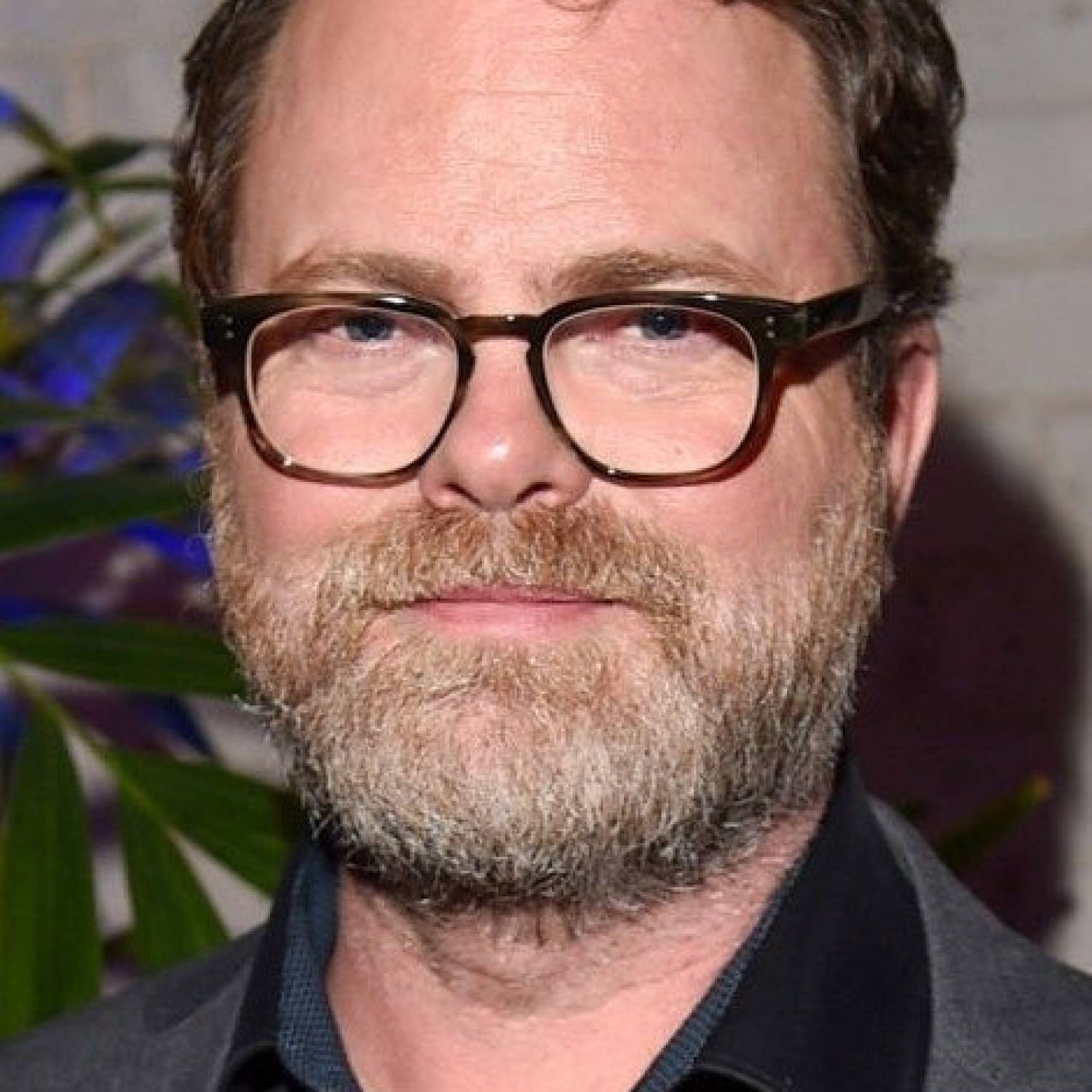 Rainn Wilson photo