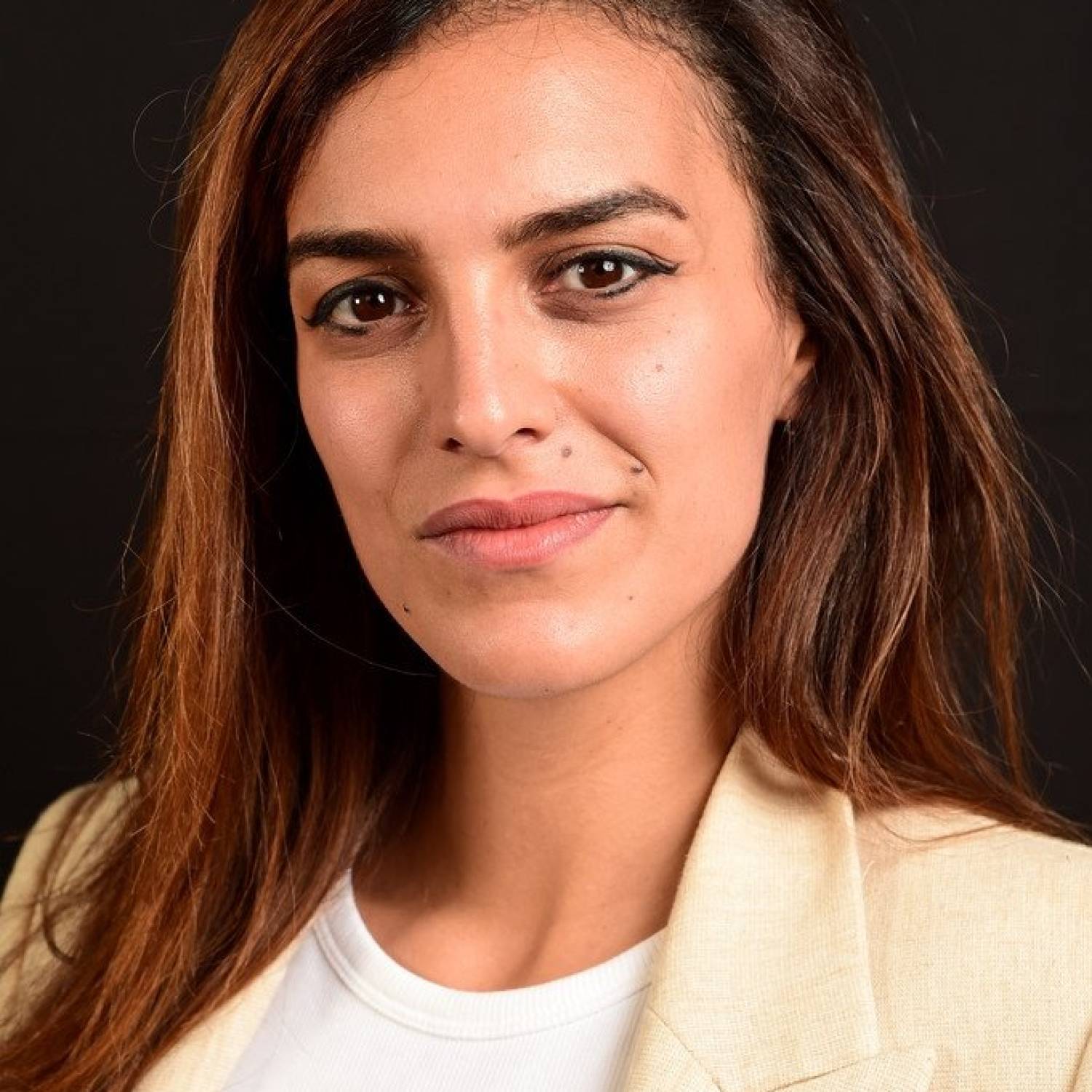 Dina Amer photo