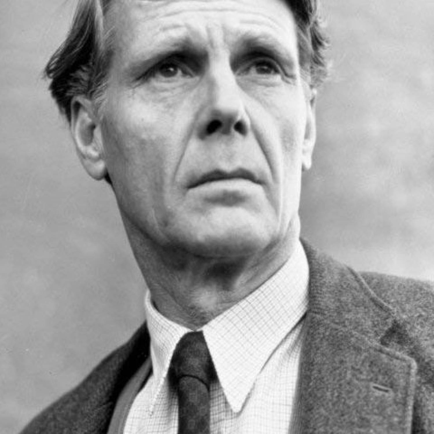James Fox photo