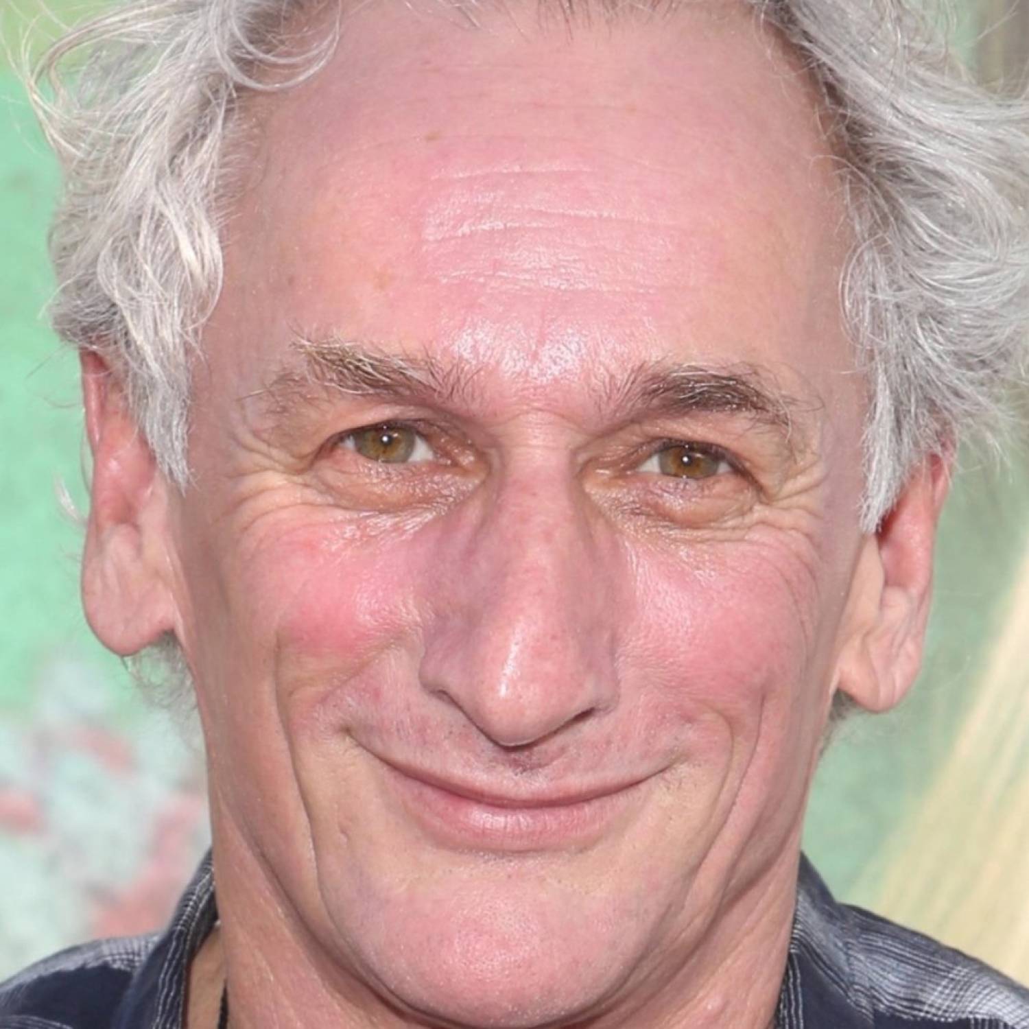 Matt Craven photo