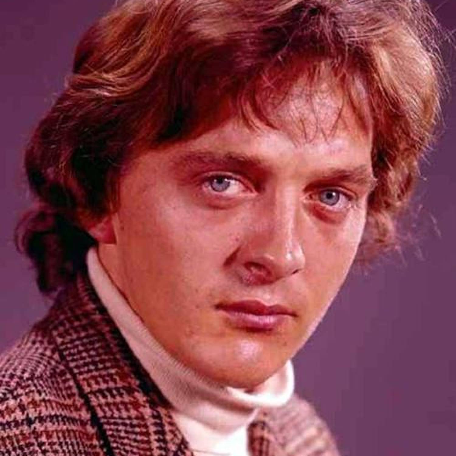 David Hemmings photo