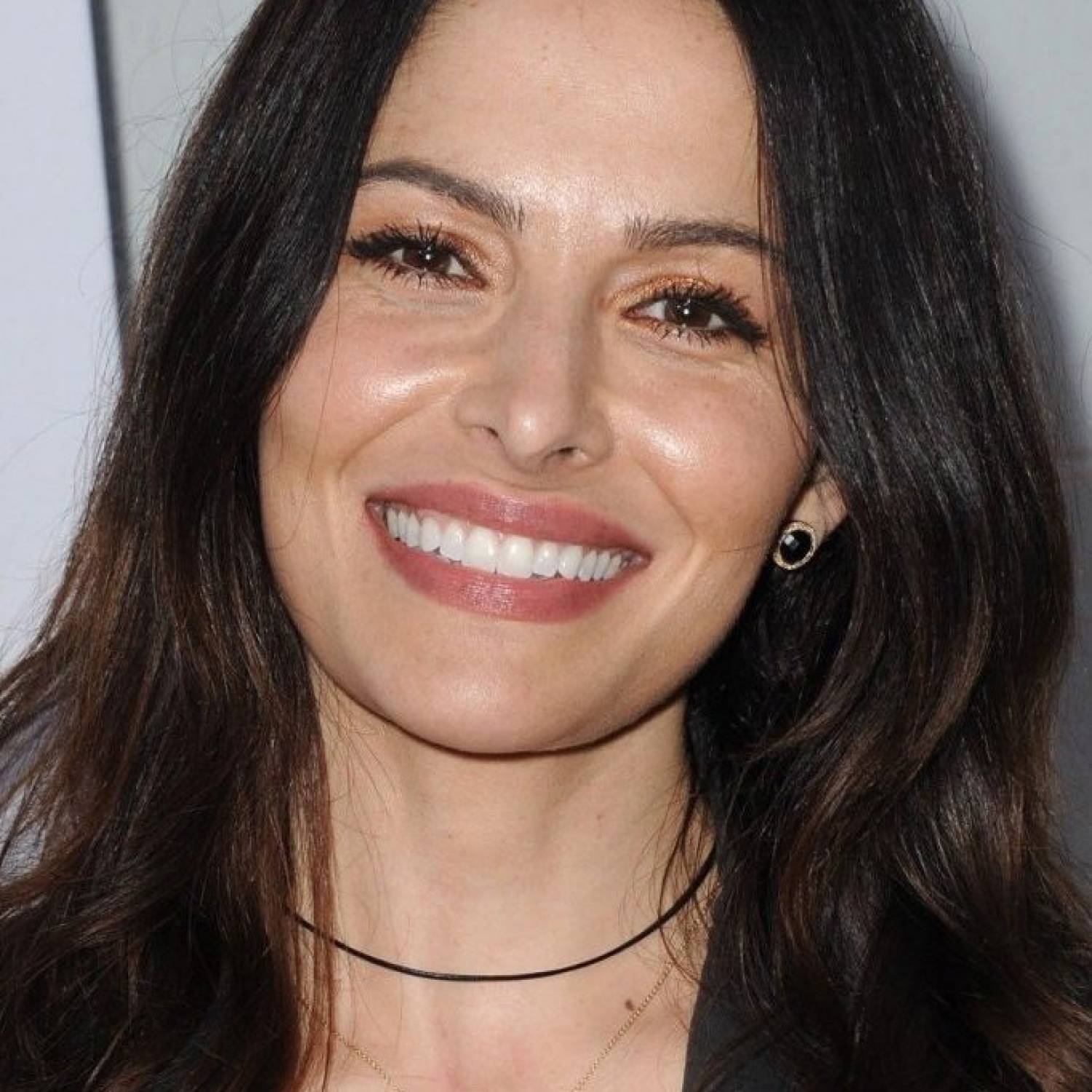 Sarah Shahi photo