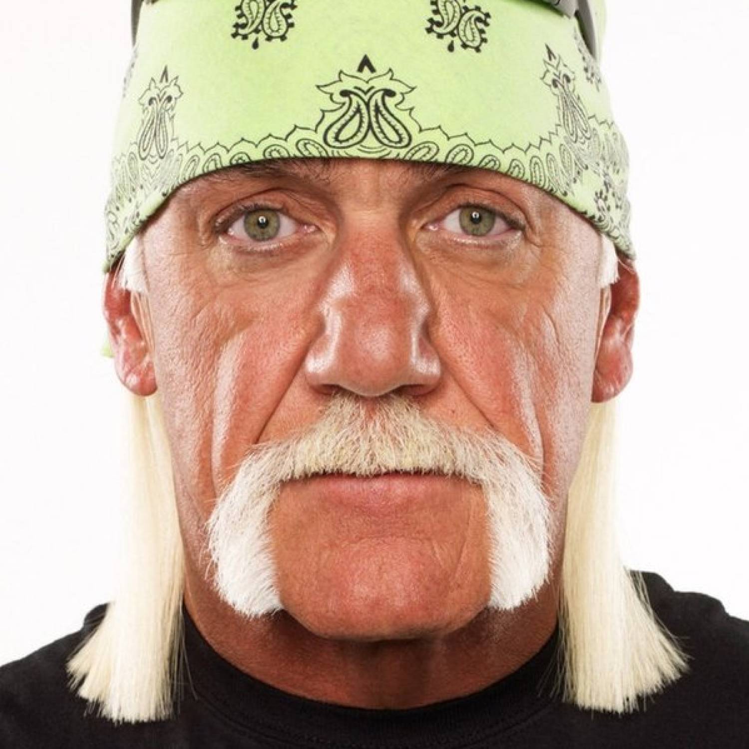 Hulk Hogan photo