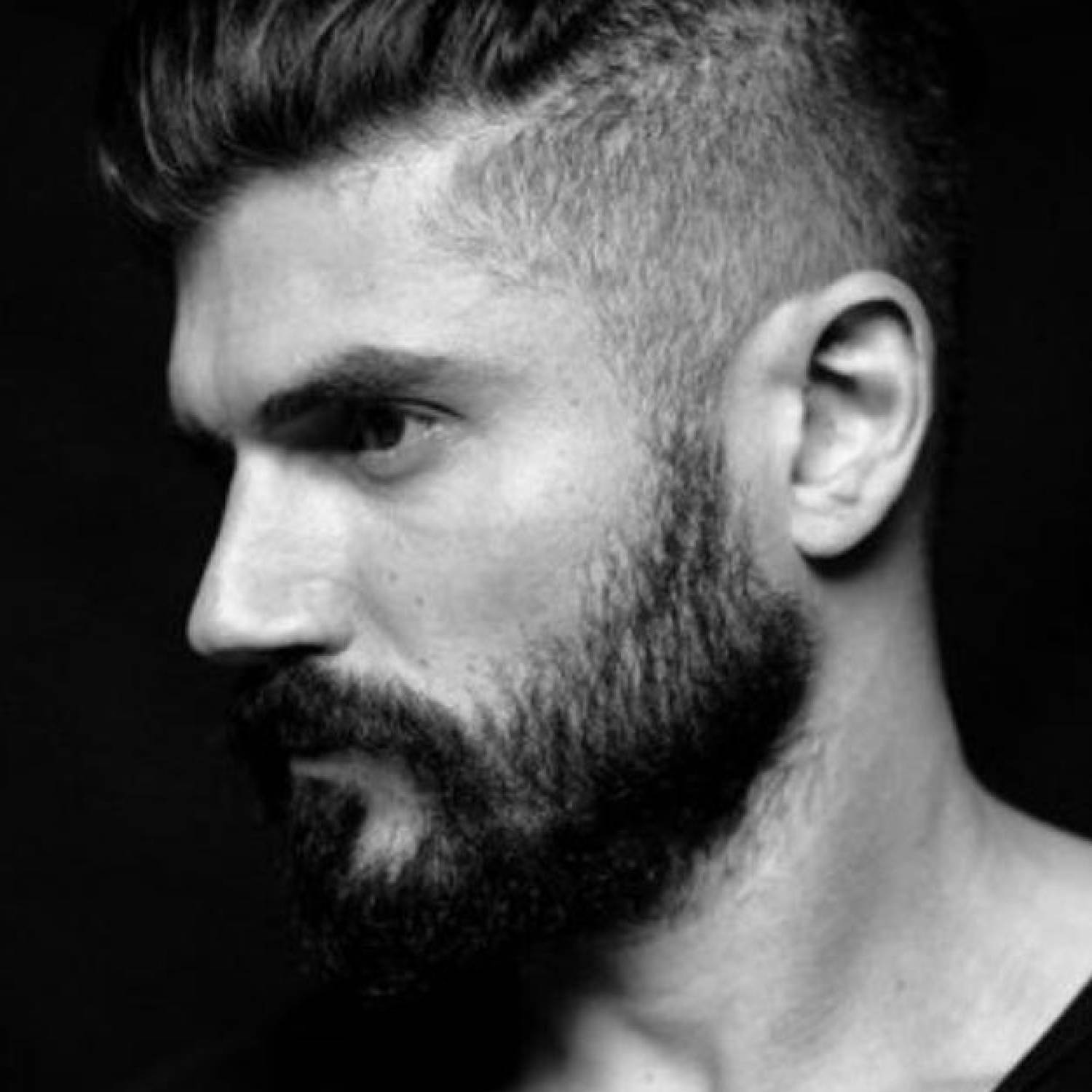 Andrew Levitas photo