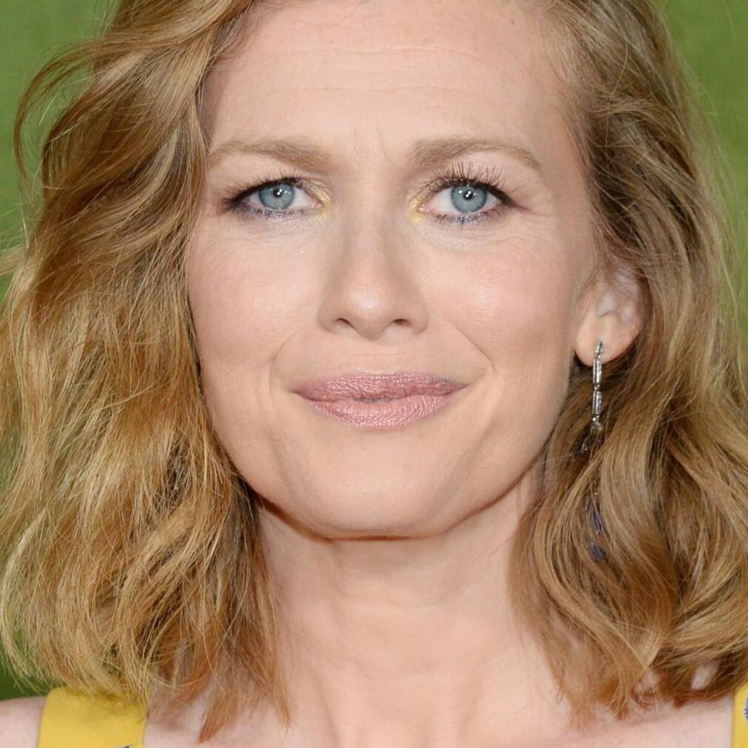 Mireille Enos photo