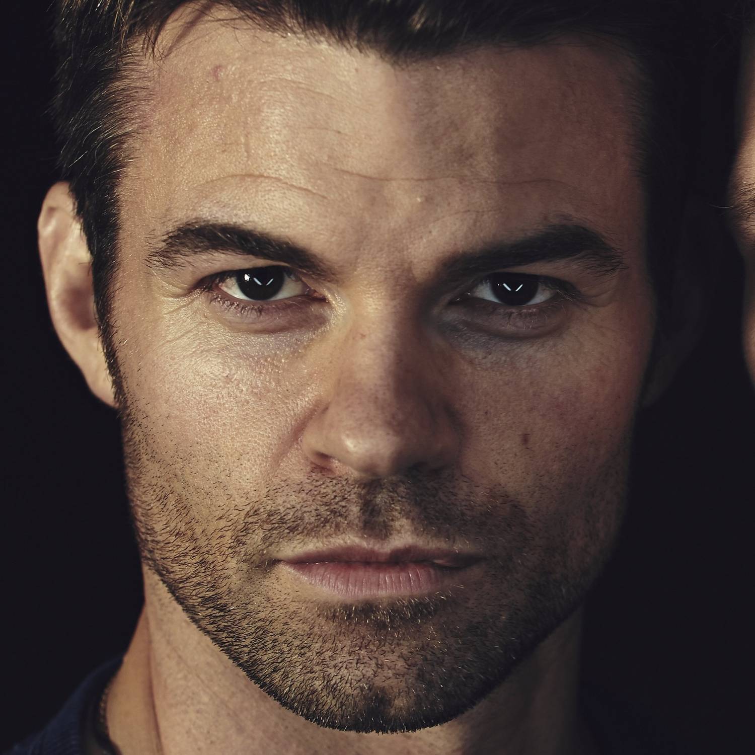 Daniel Gillies photo