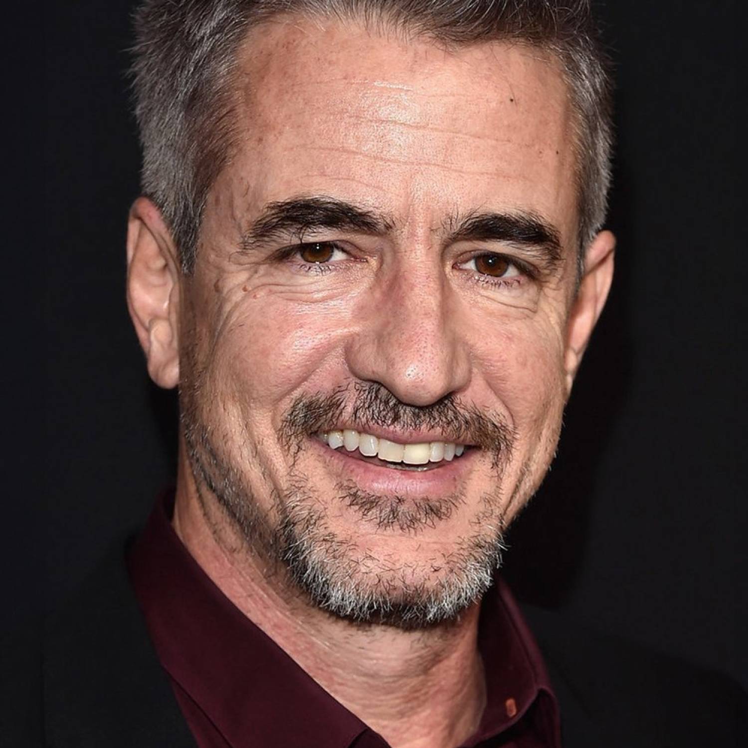 Dermot Mulroney photo