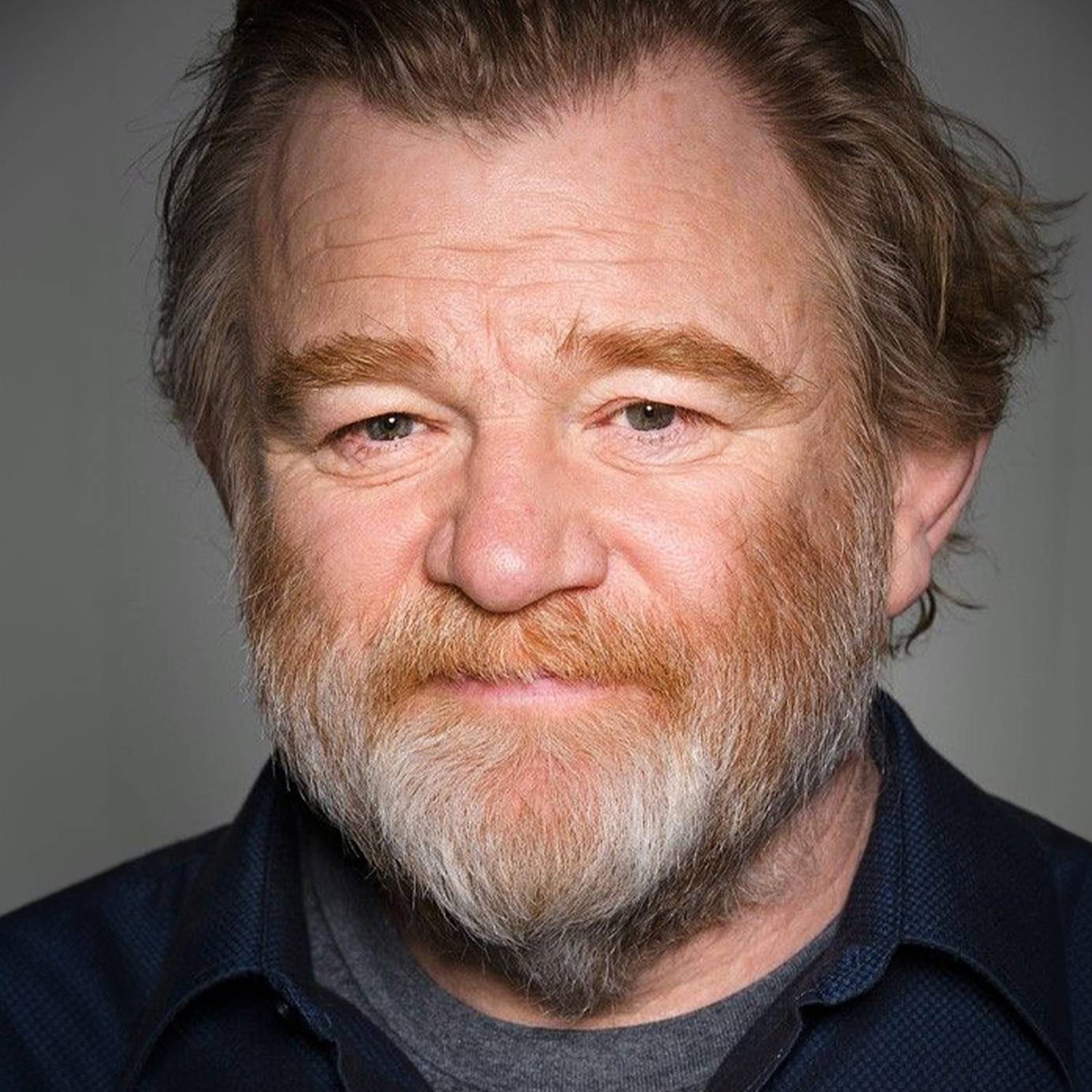 Brendan Gleeson photo