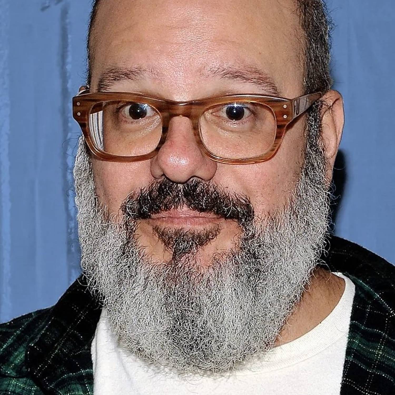 David Cross photo
