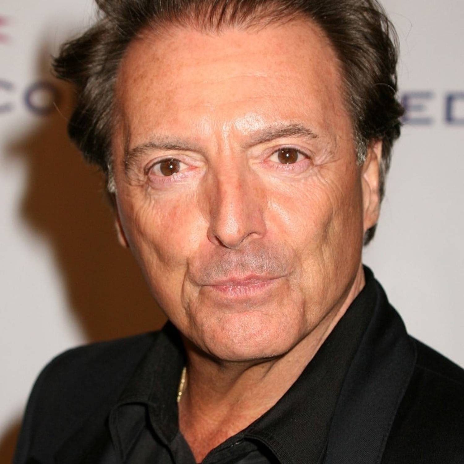 Armand Assante photo