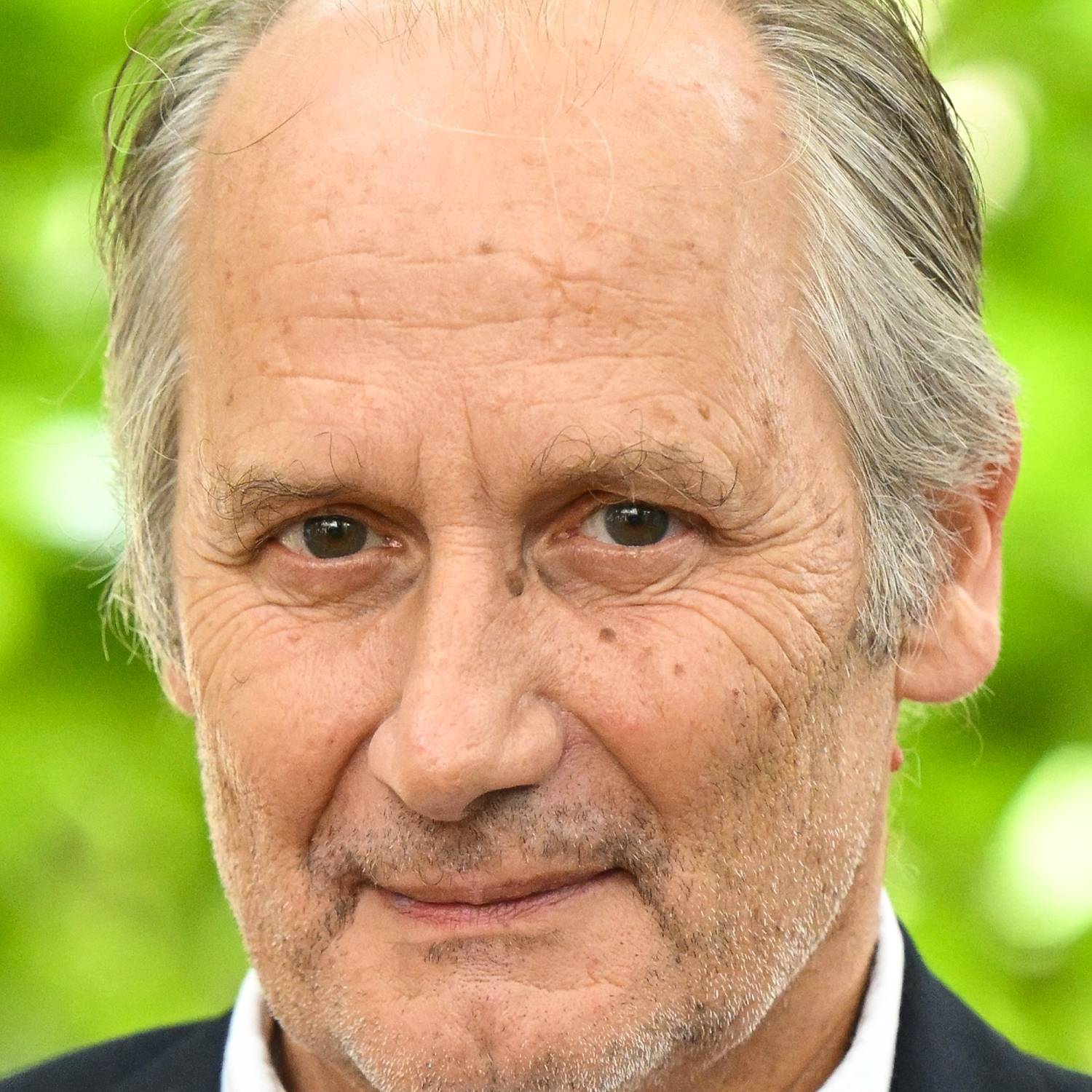 Hippolyte Girardot photo