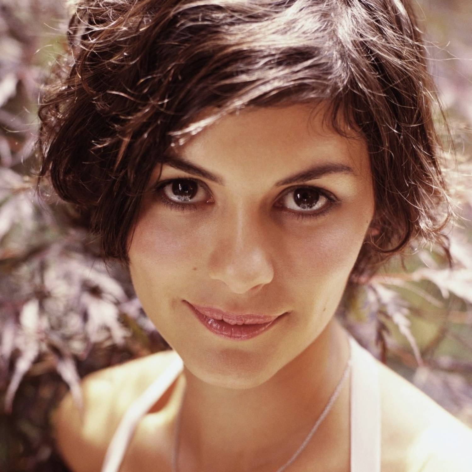 Audrey Tautou photo