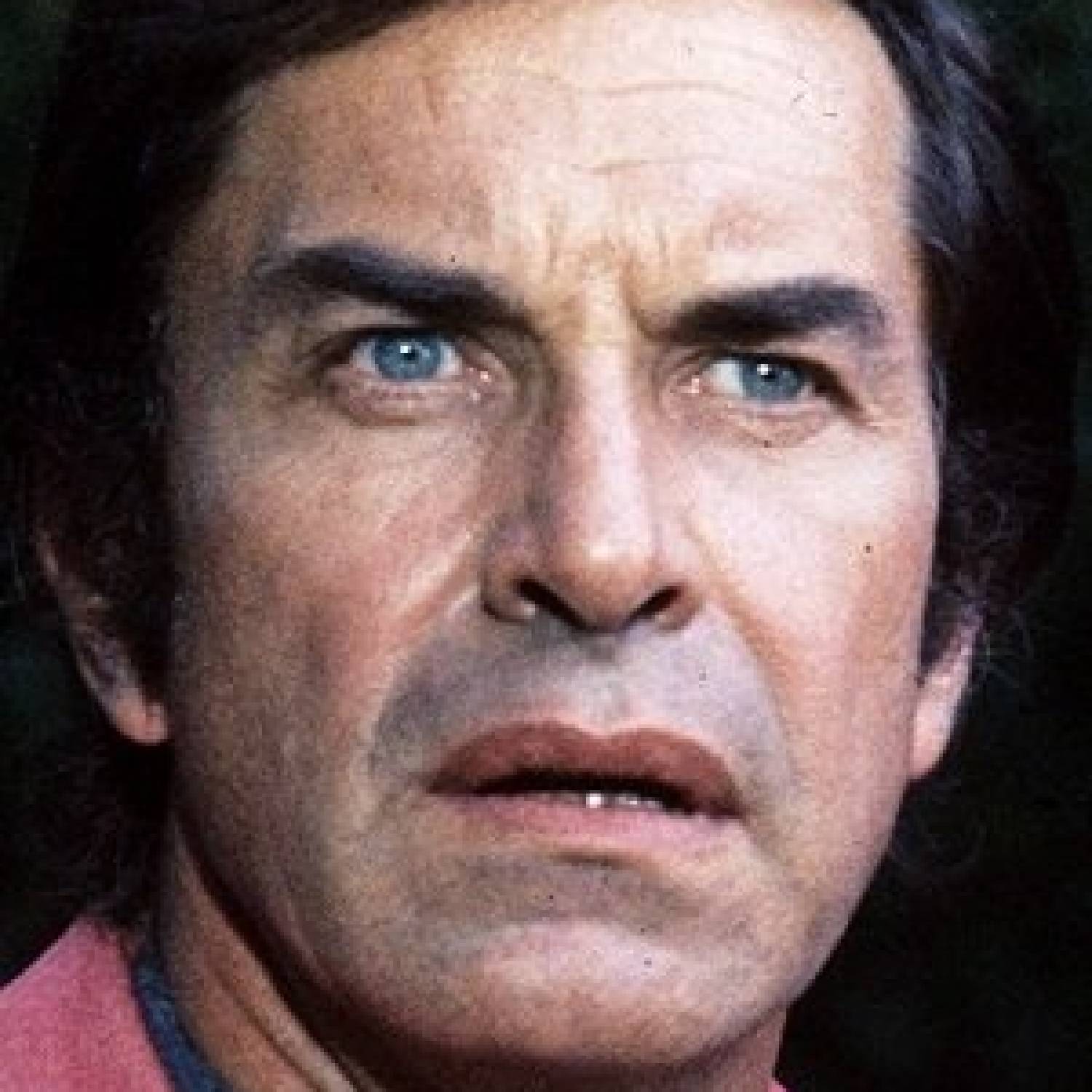 Martin Landau photo