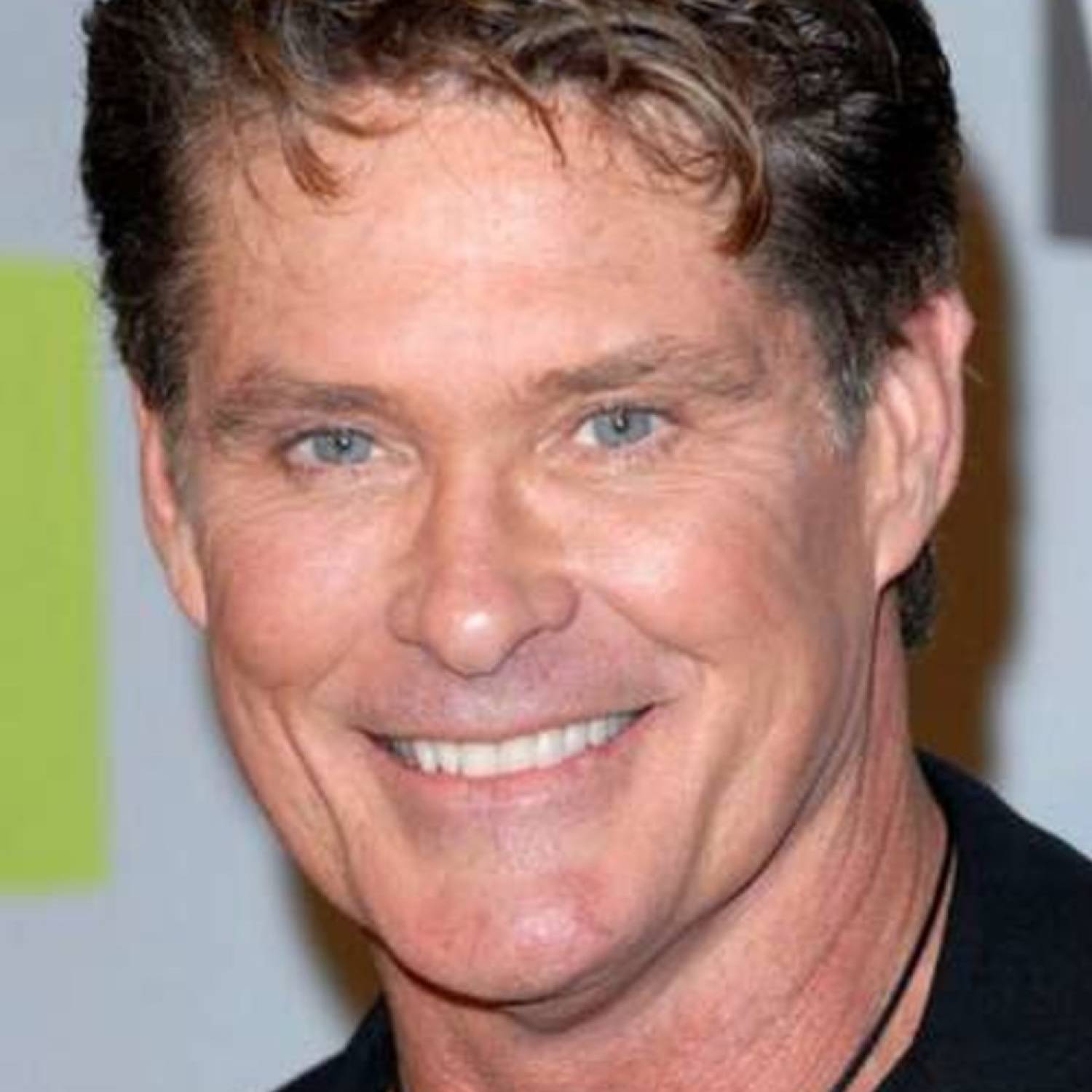 David Hasselhoff photo