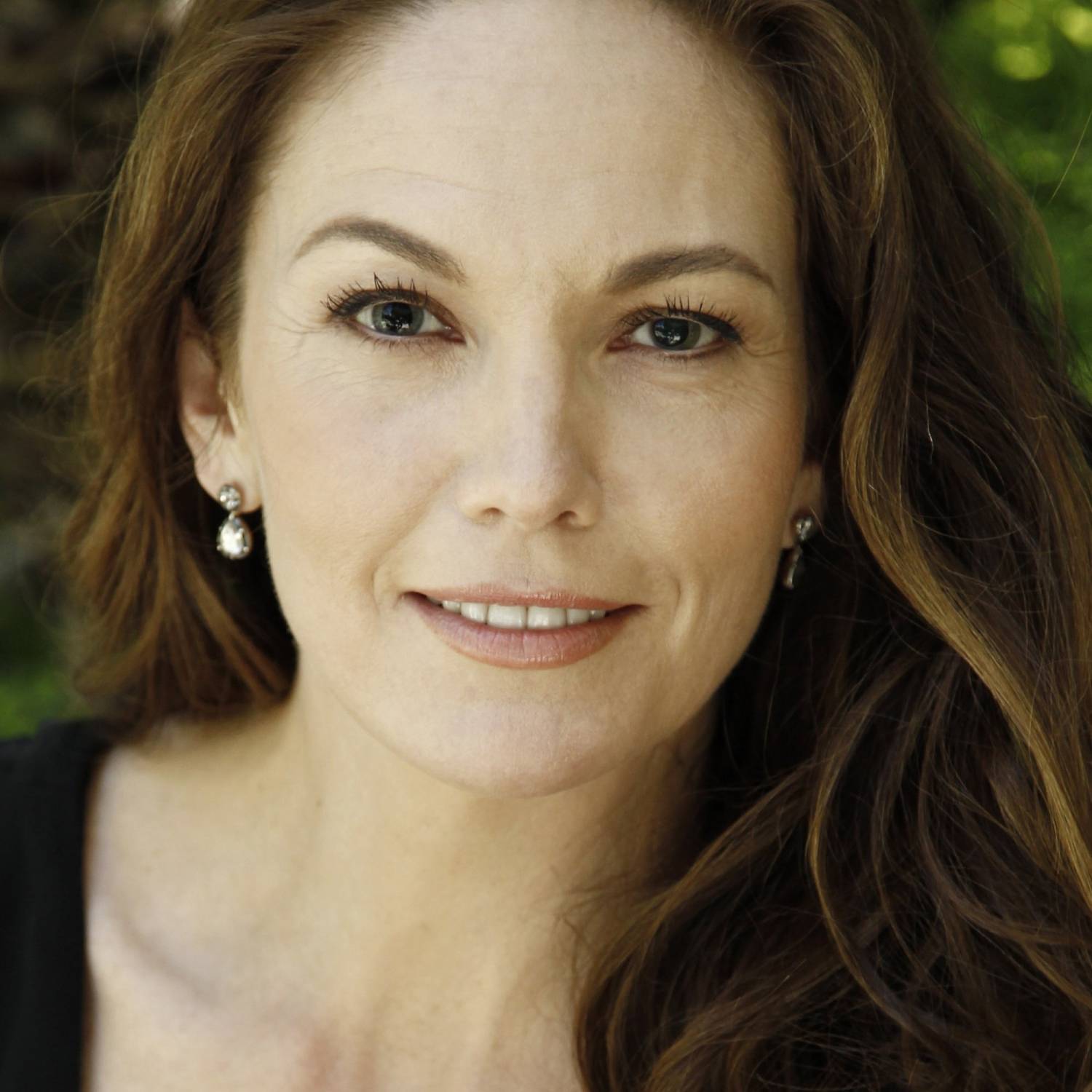 Diane Lane photo
