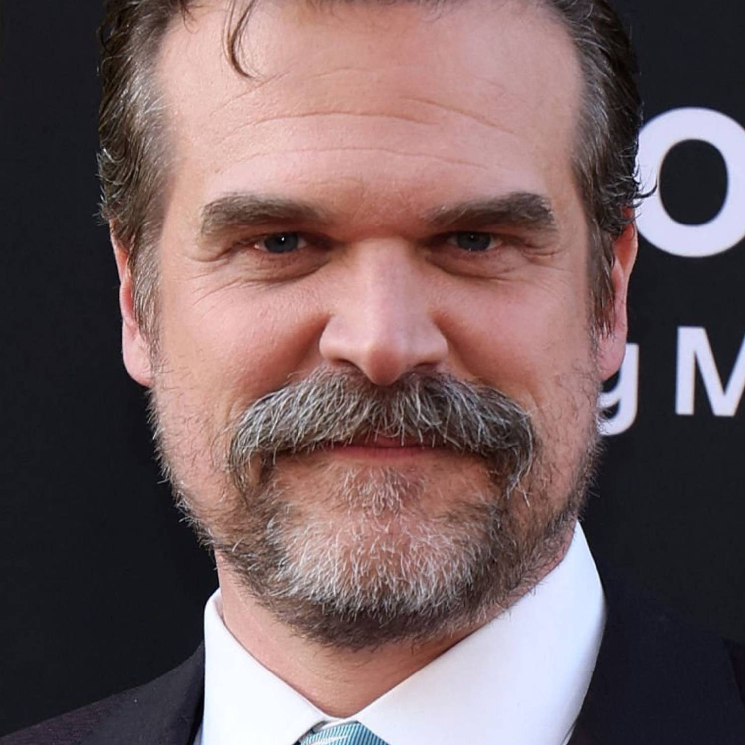 David Harbour photo