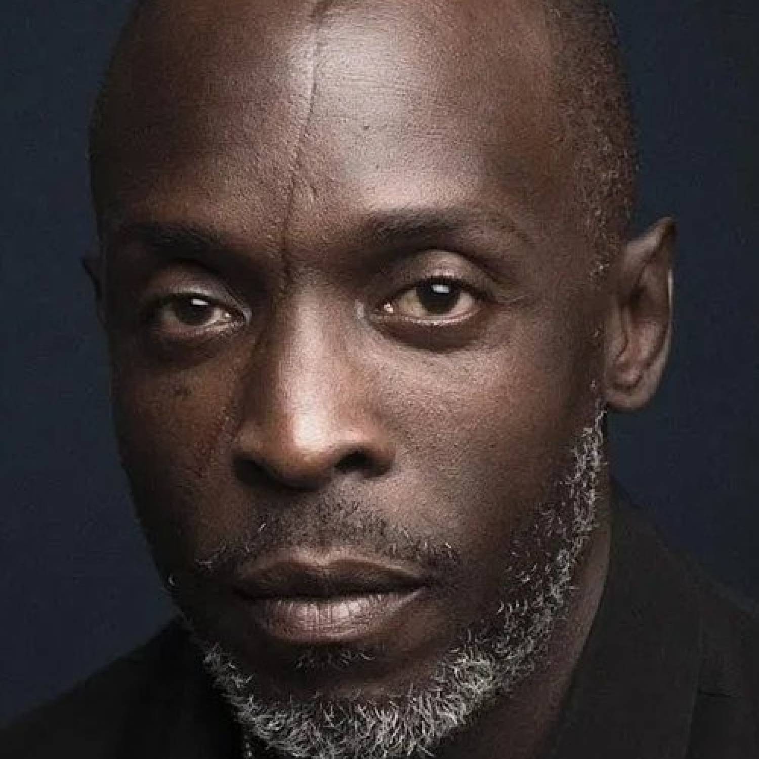 Michael Kenneth Williams photo
