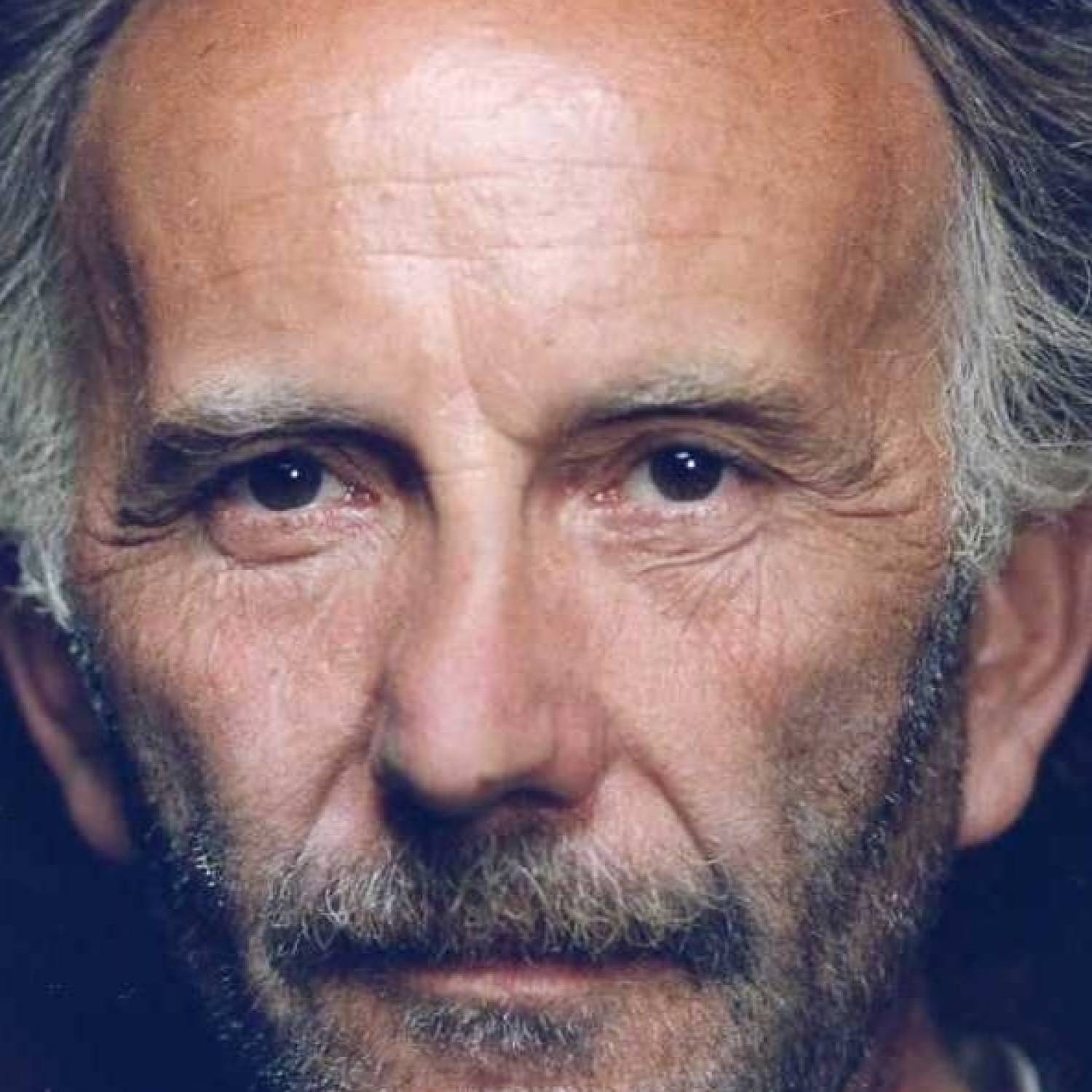 Nicola Di Pinto photo