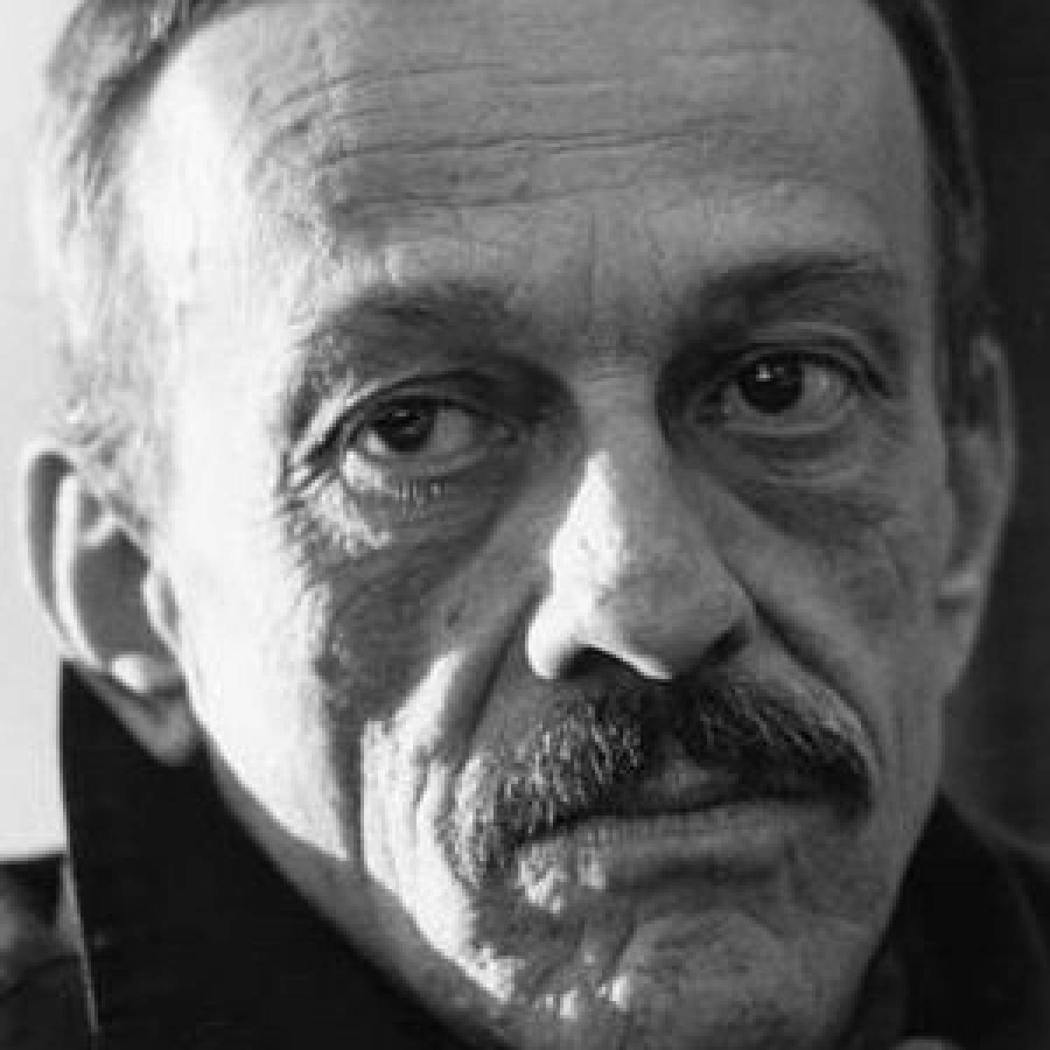 Toni Bertorelli photo