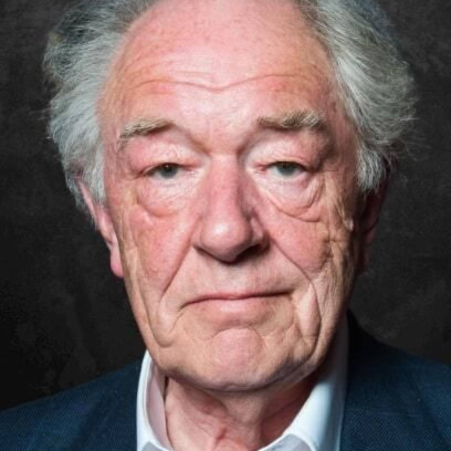 Michael Gambon photo
