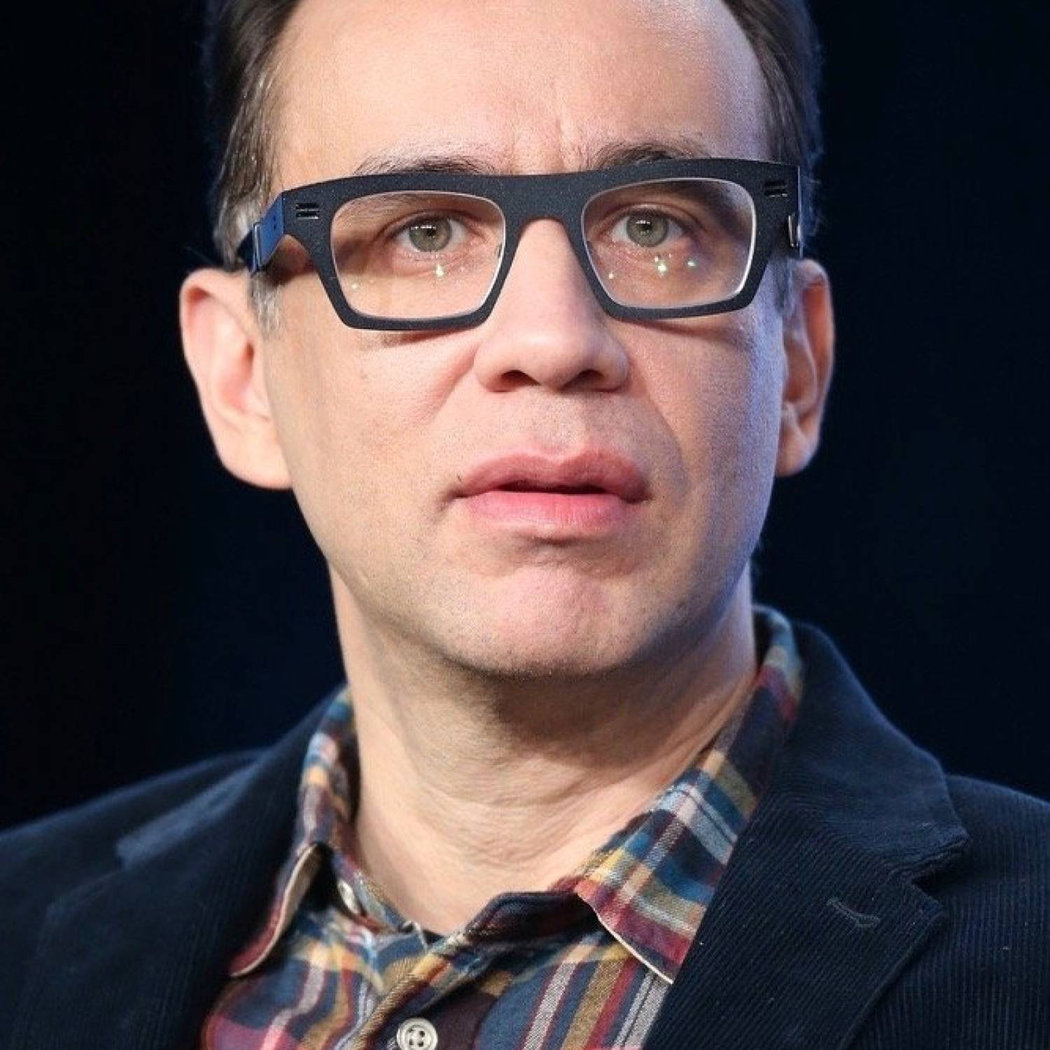 Fred Armisen photo