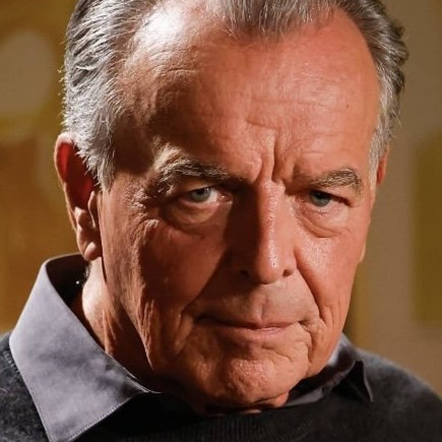 Ray Wise photo