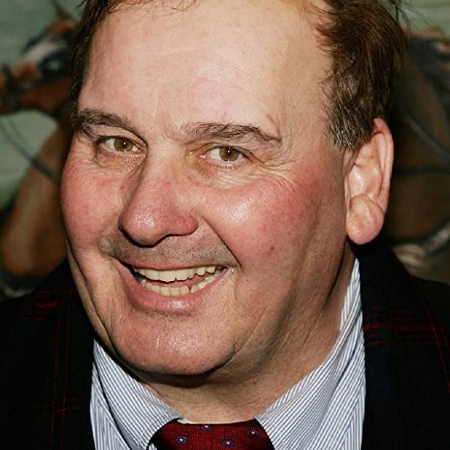 Ernie Sabella photo