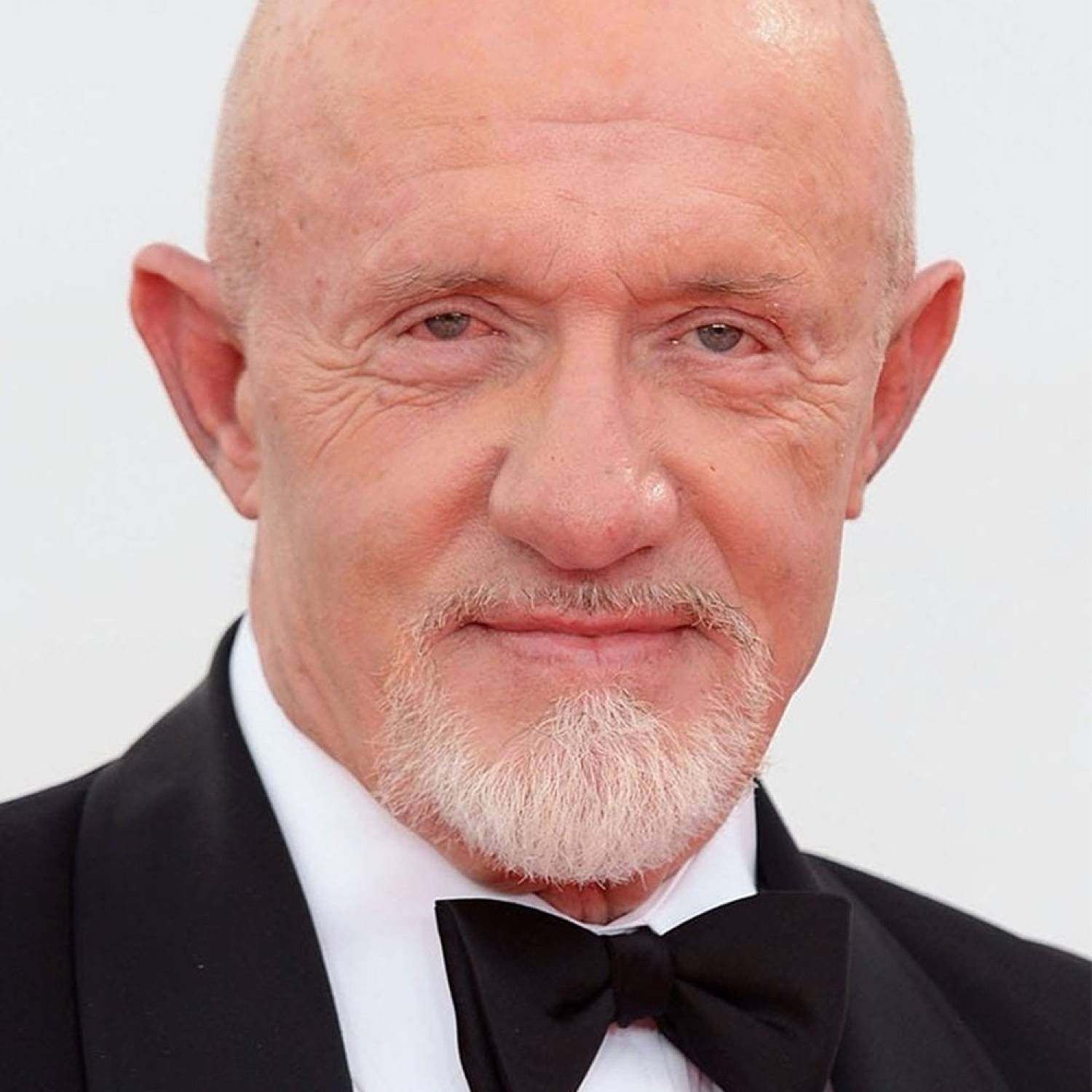 Jonathan Banks photo