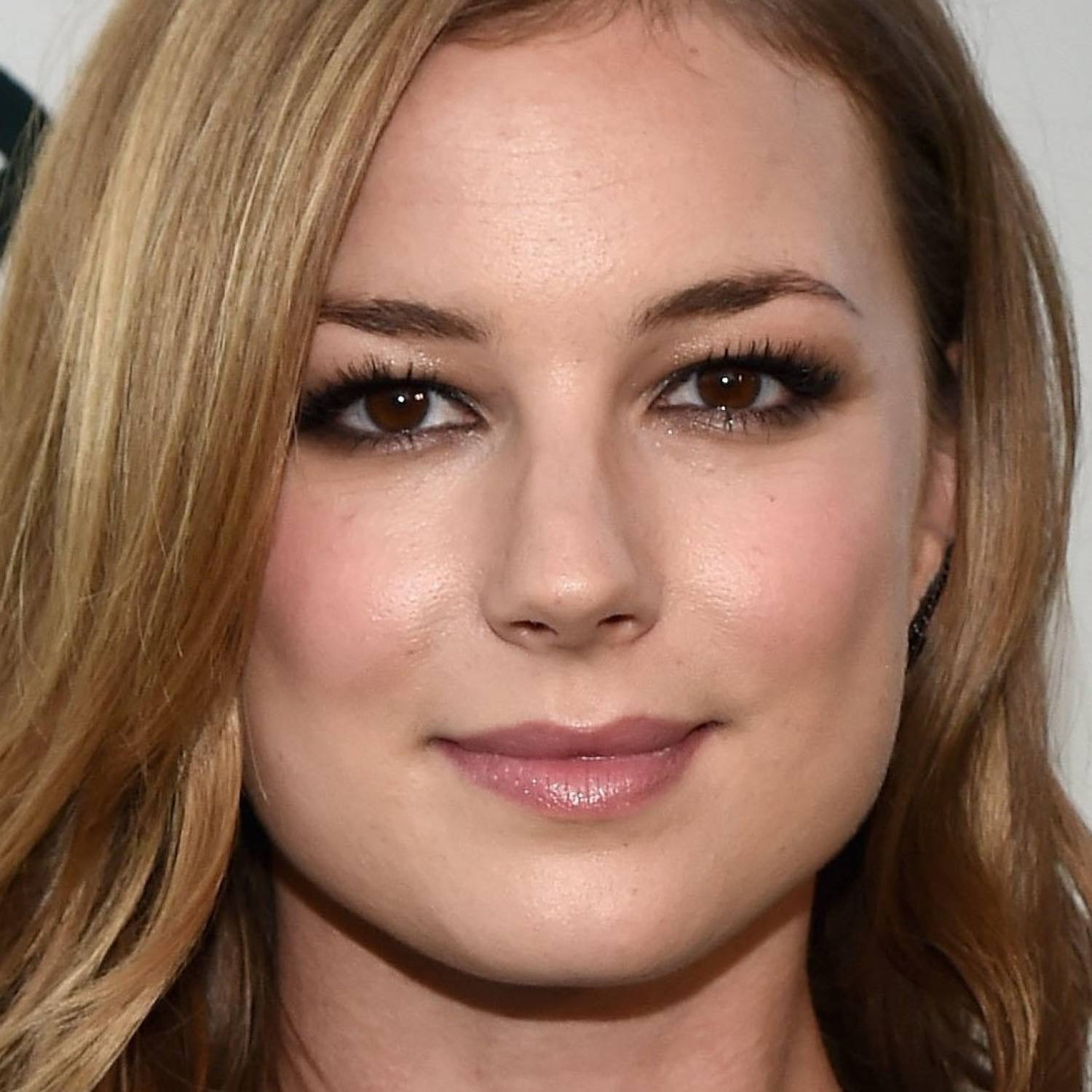 Emily VanCamp photo