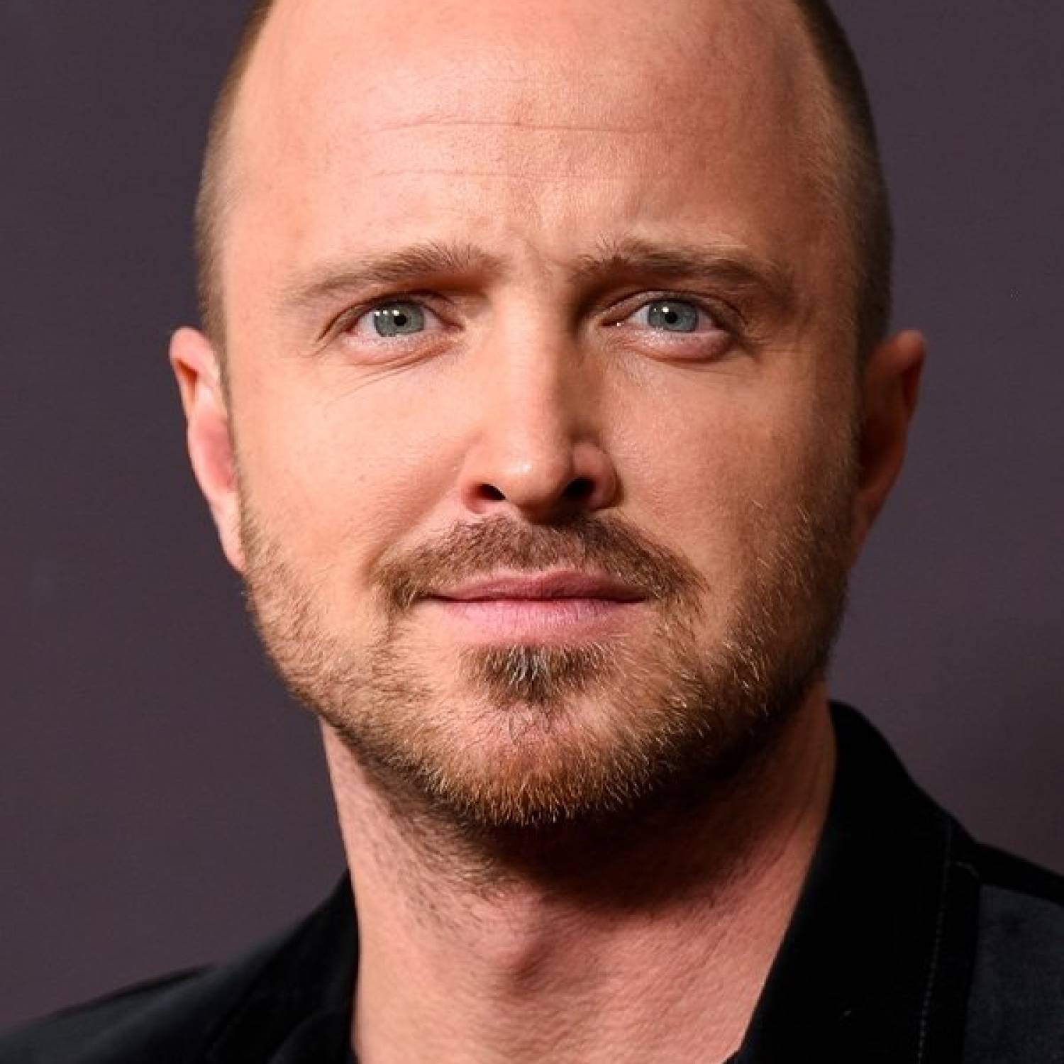 Aaron Paul photo