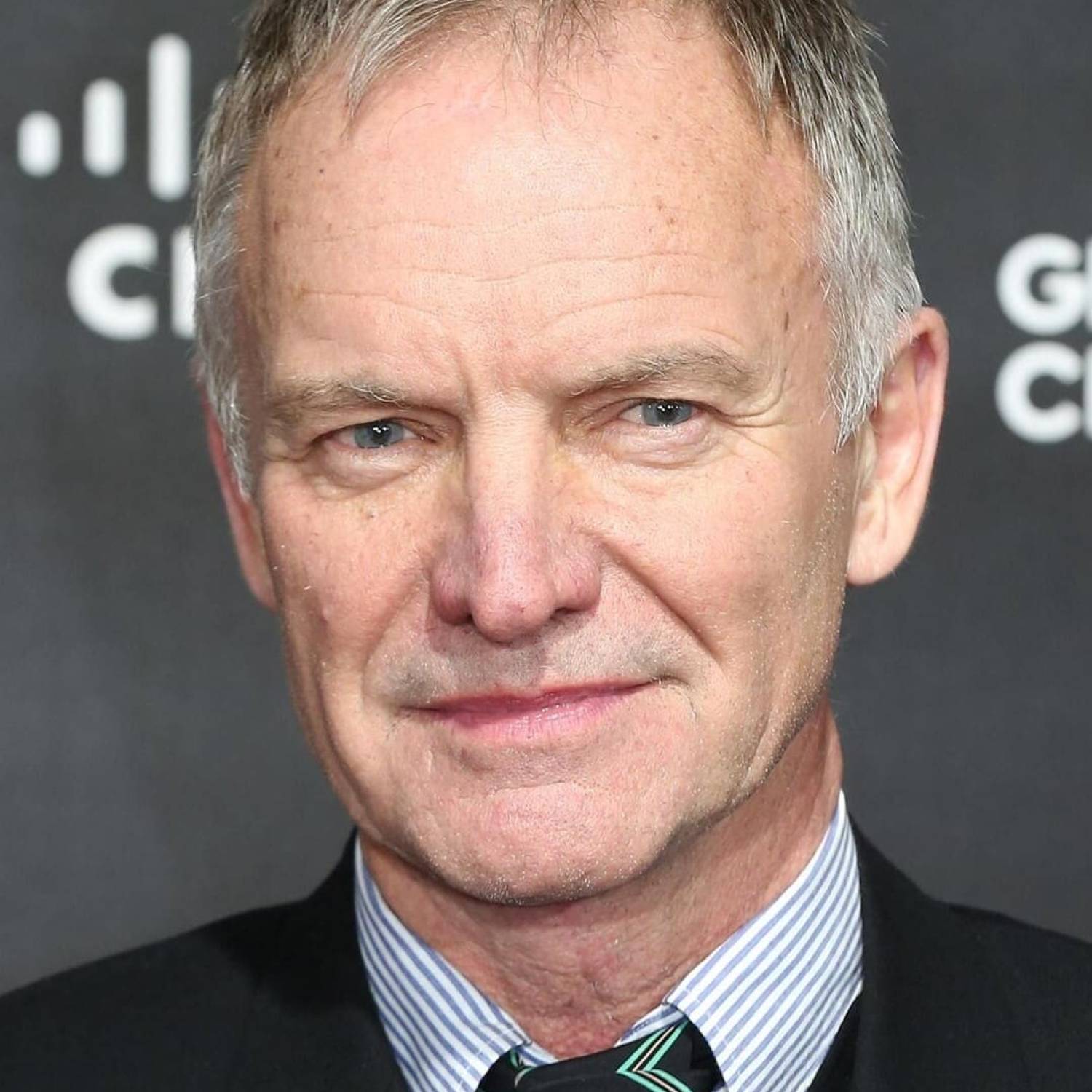 Sting photo